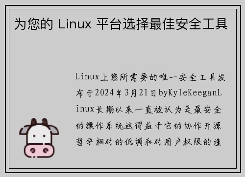 为您的 Linux 平台选择最佳安全工具 